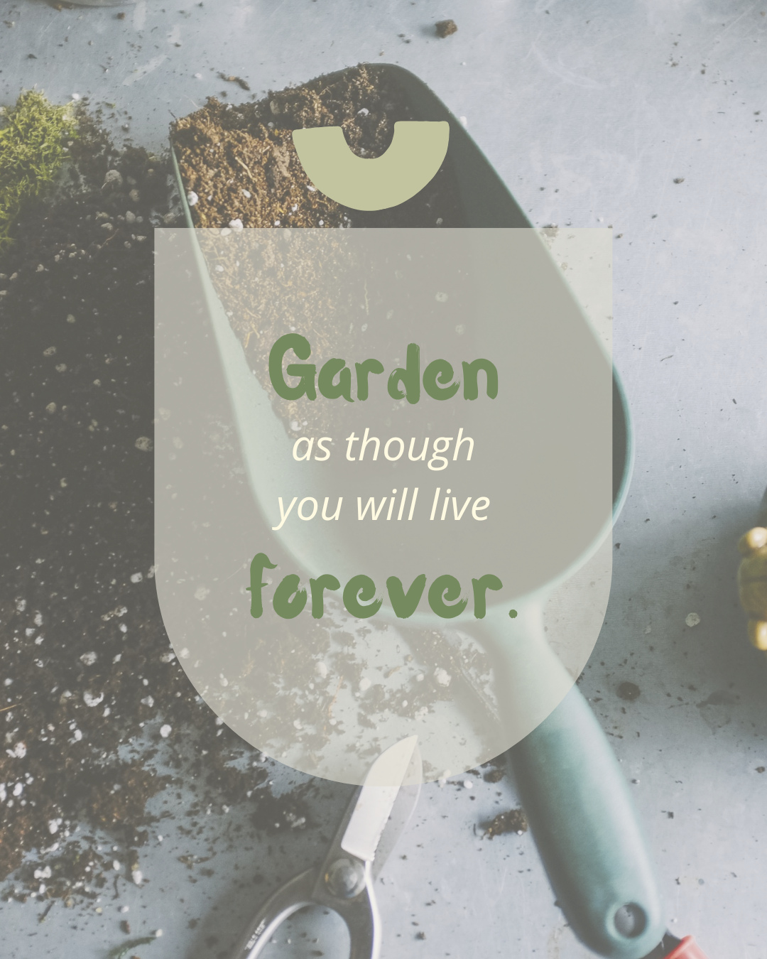 Puutarha opettaa meille kärsivällisyyttä, toivoa ja pitkäjänteisyyttä.⁠
⁠
Istuta, kastele ja hoivaa kuin aikaa olisi loputtomiin. Sillä jokainen siemen kantaa mukanaan tulevaa kesää.⁠
⁠
Mitä sinä aiot kasvattaa tänä vuonna?⁠
🌿 yrttejä ikkunalaudalla⁠
🌼 kukkia pihalle tai parvekkeelle⁠
🍓 jotakin syötävää⁠
vai ihan vain hyvää mieltä?⁠
⁠
Jaa ajatuksesi kommenteissa ja inspiroidaan toisiamme kohti kevättä!