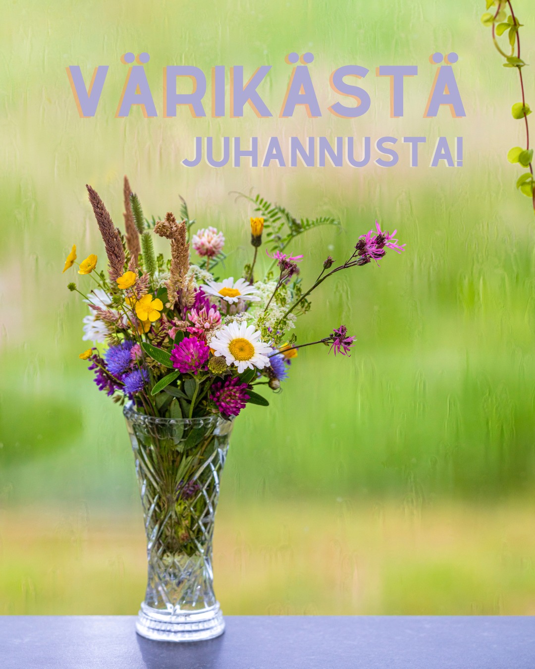 Värikästä juhannusta!

Keskikesän taika on täällä, taas. Nämä valoisat yöt, lintujen laulu, koivun tuoksu ja luonnon kukkaloisto tekevät juhannuksesta ainutlaatuisen.

Tynnyrimiehen rouva kävi jo aamutuimaan keräämässä monta kimppua luonnonkukkia. Niistä syntyy mitä kauneimpia asetelmia juhlapöytään, terassille tai mökin kuistille. Eikä niitä tarvitse ostaa kaupasta, sillä Suomen kesä tarjoaa ne meille aivan ilmaiseksi.

Lupiinit, päivänkakkarat, leinikit, kellot, hiirenvirnat ja monet muut luonnon kukat kertovat omaa tarinaansa keskikesästä. Jokainen kimppu on erilainen, aivan kuten juhannuskin.

Toivotamme kaikille värikästä, aurinkoista ja rentouttavaa juhannusta. Nautitaan luonnosta, läheisistä, hyvästä ruoasta ja niistä pienistä hetkistä, jotka jäävät mieleen vielä pitkälle syksyyn.

Millaisia luonnonkukkia sinun juhannuskimpustasi löytyy tänä vuonna?