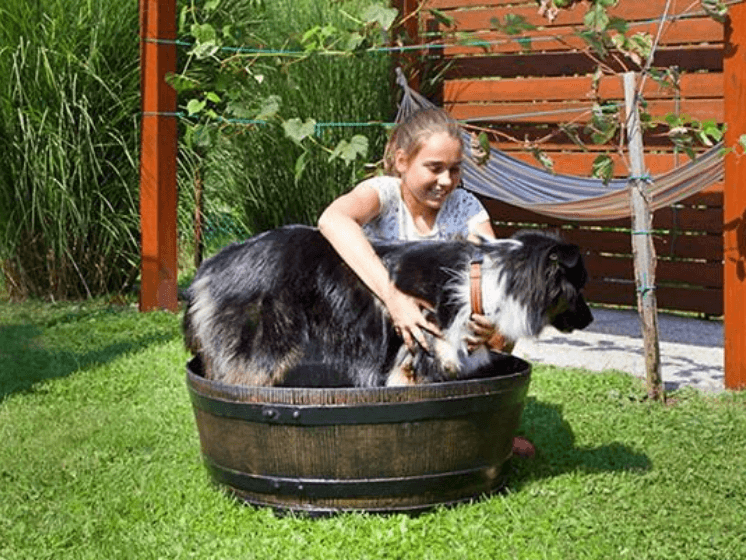 350 litraisen sadevesitynnyrin jalusta koiran  altaana