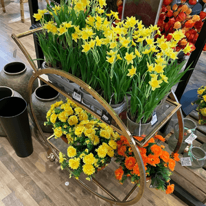 Kaunis kukkateline Tallinnassa Hortes puutarhamyymälässä