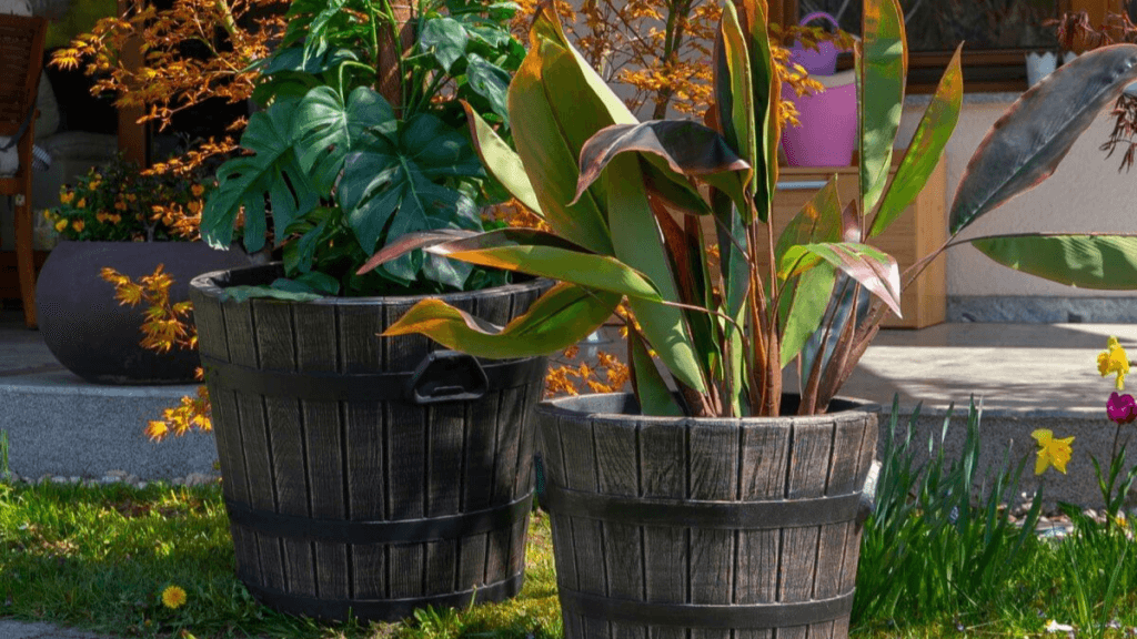 Muovi on järkevä valinta puutarhassa ruukuissa ja istutusastioissa