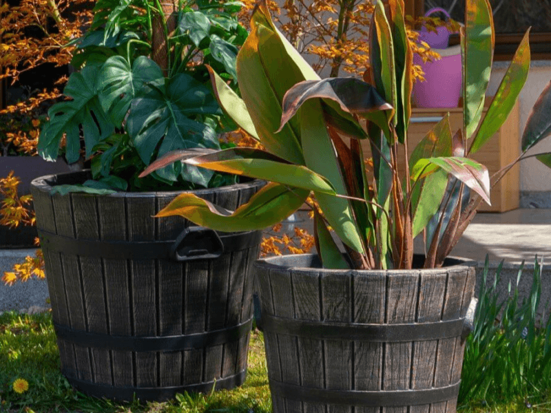 Muovi on järkevä valinta puutarhassa ruukuissa ja istutusastioissa